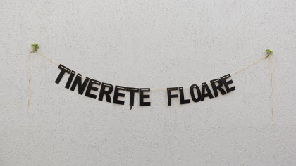 Garland "TINEREȚE FLOARE"